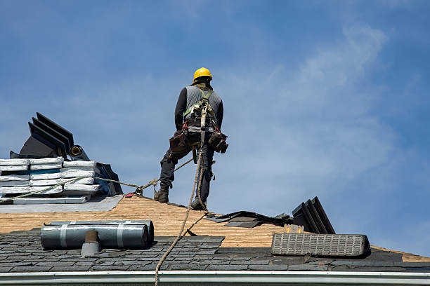 Professional Roof Replacement technician working in Tavares, FL